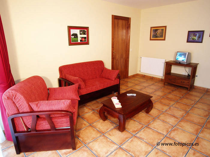 Apartamentos Villa De Cabrales Arenas De Cabrales Rum bild